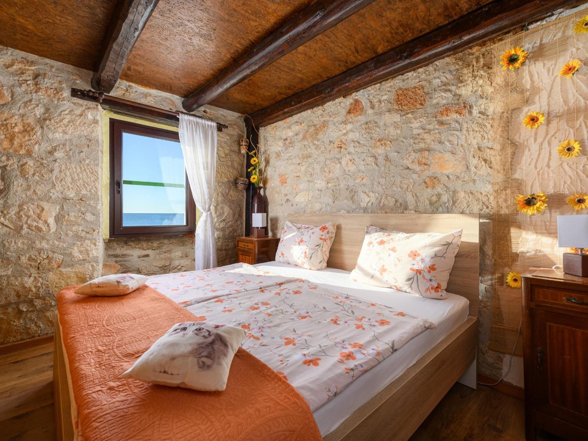 Casa Cittar *